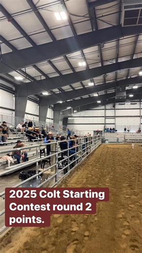 2025 Colt Starting Contest round 2 points. | The Horseman’s Mission