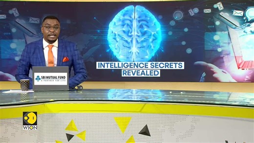 Intelligence Defined By How Your Brain Is Wired: Study