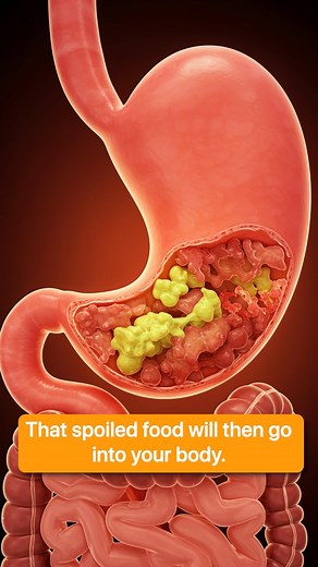 🚫 Doing these 5 things right after eating could be harming your health more than you think! 😳 👉 Especially #4 — it’s a game-changer for your digestion! 🔹 No tea/coffee right after meals 🔹 No lying down 😴 🔹 No post-meal showers 🚿 🔹 No water immediately after 🍽 🔹 No brushing teeth right after 🪥 Take care of your body — small habits make a big difference! 💪 Save this for later and share with someone who needs to see it! 🔁💬 . . . #healthtips #digestionhealth #aftereating #digestivesys