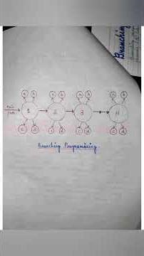 Differentiate between Linear and Branching Programming | B.Ed and M.Ed notes
