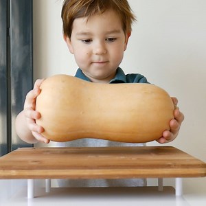 384K views · 5.7K reactions | Testing paper for strength to find out how much weight it can actually hold #TheDadLab #science #fatherhood | TheDadLab | Facebook