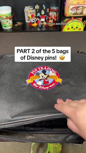 Pincessshannon on TikTok