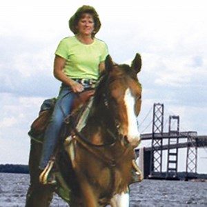 Long & Foster Real Estate - BARBARA WALLACE