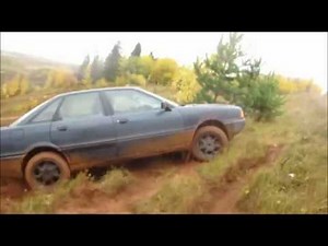 Audi 80 off road