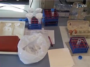 IgY Technology: Extraction of Chicken Antibodies from Egg Yolk by Polyethylene Glycol PEG Precipitation