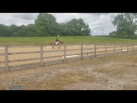Elementary 4 Dressage Test