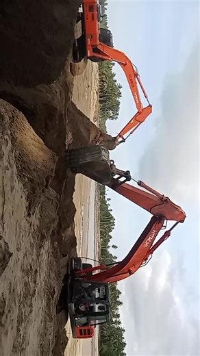 predator Cot Nibong (@dwinrimbabatee)’s videos with suara asli - TUTIA RAHMI 91