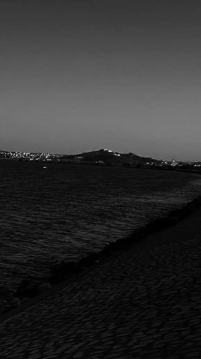 Coastal Serenity: Black and White Shoreline Images