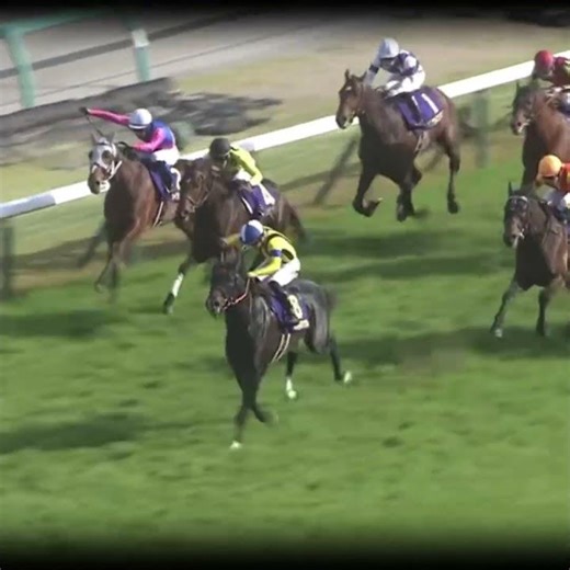 天国からの後押し #競馬 #皐月賞 #ジャスティンミラノ #戸崎圭太