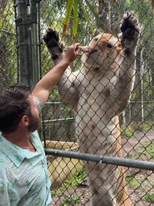 Friendly or Unfriendly? — Animals That Seem Friendly
