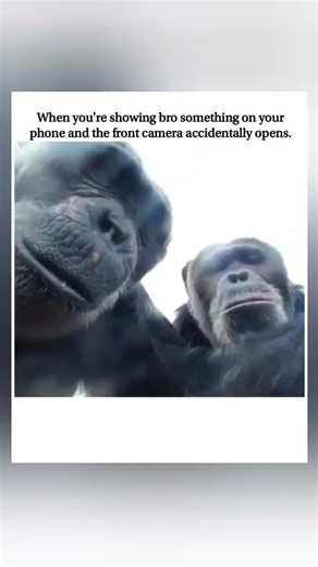When the front camera catches you lackin'. 📱😳#shortvideo #meme