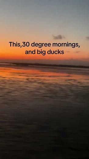 Overdue for it #gatortailoutboards #gatortailoutboards #yammaha #sitka