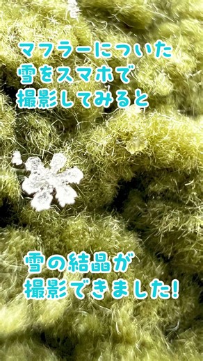 本日は雪が降っており、科学館は雪模様です❄