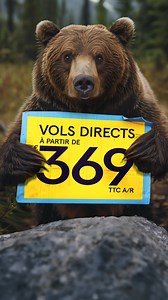 Économisez durant notre plus grosse promo de l’année et voyagez avec la meilleure compagnie aérienne loisirs au monde ! | Air Transat