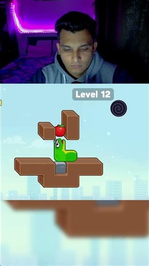 Snake Puzzle Level 12