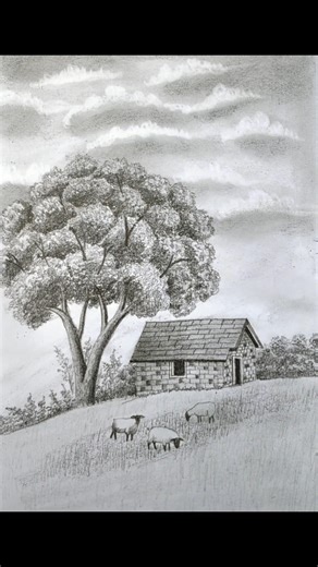 Pencil sketch tutorial for beginners #arttutorial #drawing #drawingtechniques #pencilportrsit