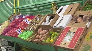 Hunts Point Produce Market busy day