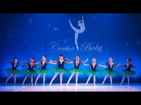 Baby Ballerinas in Blue Tutu Skirts | Recital Casa de Balet