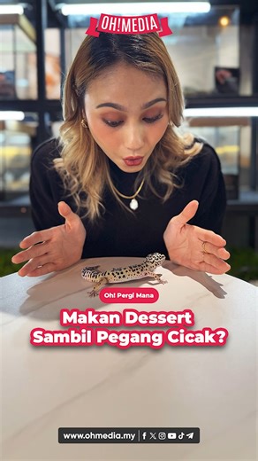Makan dessert sambil pegang cicak? Ada satu kedai ni, korang boleh makan sambil belai cicak dan ular 😮 Memang unik gila concept kedai ni! Makanan pun not bad. Kalau korang minat haiwan reptilia, memang wajib singgah sini dan experience sendiri 😍 #OhMedia #OhPergiMana #KafeReptilia #KafeViral #Entertainment | Ohmedia Plus