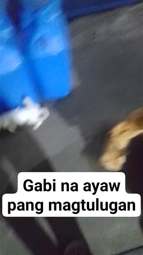 Judy Arrisgado on Reels