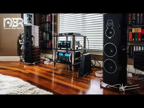 Best Voices & Dynamic Sound - Hi Res Music - Natural Beat Records