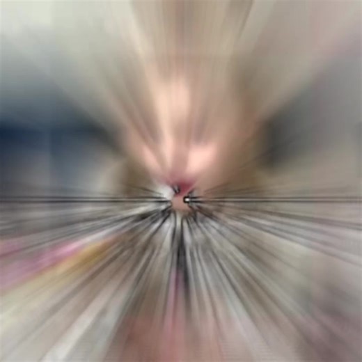 رجعتت عسولاتي/فـكࢪتـ@ـي فضلاا💋🌸#لوسي_ملكة_الاربوب💗😭 #لوسي_كاتس #عدلو_الدعم_لو_سمحتو💔 #منفرداتي_ملوك_الاربوب🍡💗🍭 #اعشقكمممممممممممممممممممم💕😭