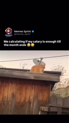 Memes Sprint on Instagram: "Me calculating if my salary is enough till the month ends 😭🤣 Your feed deserves a memes sprint . . . . . . . . . . . . . . . . . . . . . . . Swipe through for your daily dose of meme and humor! 😃✨ . . . . . . . . . . . . . . . . . . . . . . . Drop a ❤️ if you’re here for the fun! . . . . . . . . . . . . . . . . . . . . . . . #memessprint #meme #sarcasm #joke #savage #relatable #humor #memesdaily #funnymemes #funnyaf #love #comedy #lol #trending #viral #instagram #d