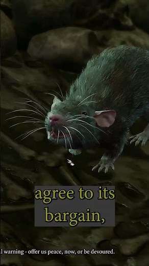 The rats quest in the Temple of Shar #baldursgate3 #bg3 #baldursgate3guide #baldursgate