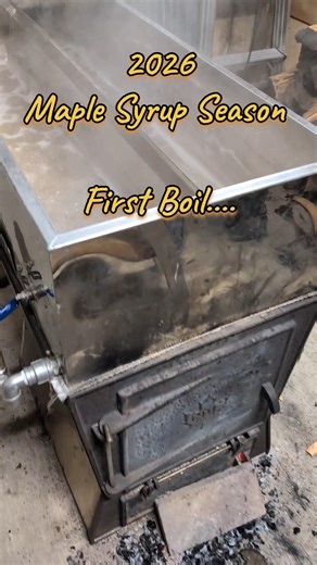 Maple Syrup Season Boiling Sap First Boil of 2026#mapleseason #maplesyrup #maplesap #pancake