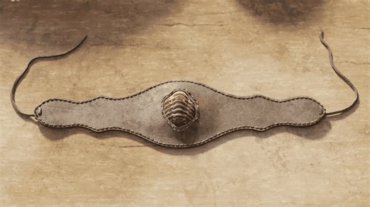 Trilobite fossil, millions of years old, found in Roman-era dump in Spain