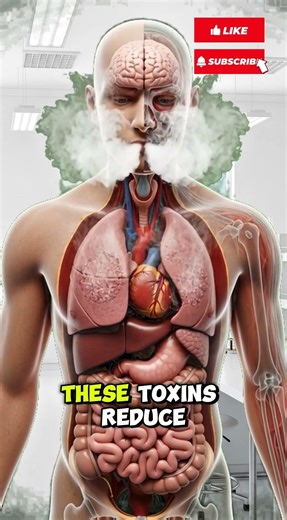 What Happens When You Inhale Smoke? | 3D Medical Animation of Lung & Body Damage