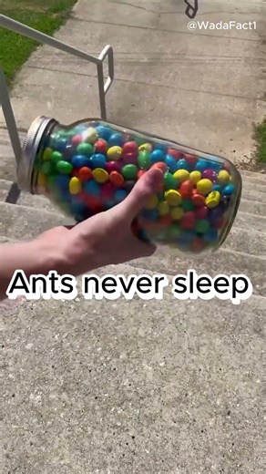 10 Science Facts That Are Too Crazy To Believe