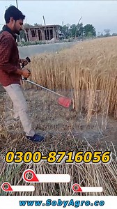 Brush Cutter Machine | Mini Harvester Tool | #brushcutter #cutter #powertools #harvester #SobyAgroMachinery Contact for more information call/WhatsApp https://wa.me/923008716056 . https://wa.me/923008626170 . https://wa.me/923008626095 . https://wa.me/923008626094 . https://wa.me/923018616056 . https://wa.me/923008626056 . Karachi Showroom https://wa.me/923008626048 . https://wa.me/923008626064 Visit Now: Soby Agro Machinery near WAPDA Office Circular Road Daska, Sialkot. . Saggia Road Mehmood B