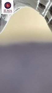 245 reactions · 13 shares |  Dream big. Learn bigger. Ilma...