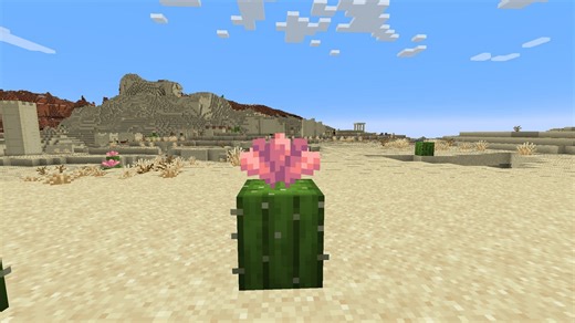 How to get cactus flower in Minecraft
