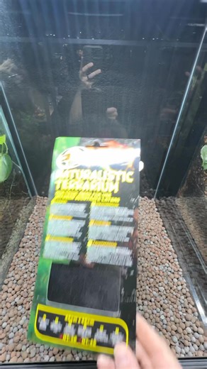 How to create a simple bioactive 18x18x24” enclosure for reptiles. #everevolvingexotics #reptileshop #tucson #bioactive #reptiles | Ever Evolving Exotics