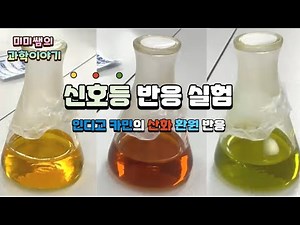 신호등 반응 실험