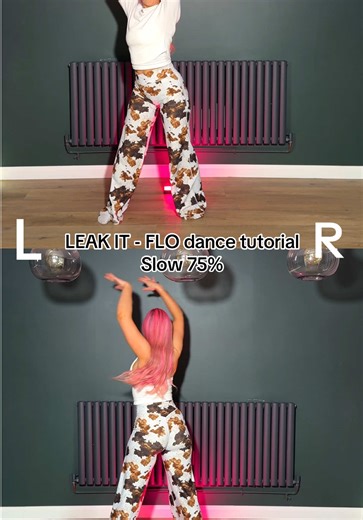 Learn the LEAK IT Dance Tutorial by FLO
