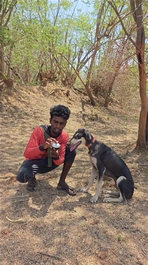Bell அடிச்சா தான் Food 😋🔔 | என் Rooru 🐶 செம Smart ஆகிடுச்சு 🔥#dogtraining #Rooru #chippipparai