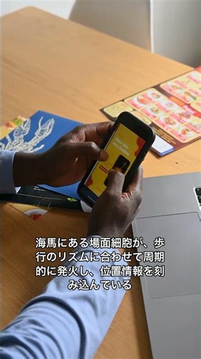 脳内GPSが1秒に6回更新されるワケ