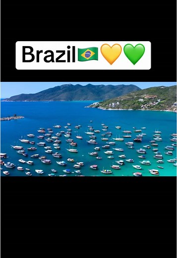 Exploring Life and Sea Views in Brazil