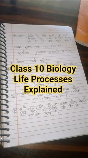Class 10 Biology Life Processes Explained
