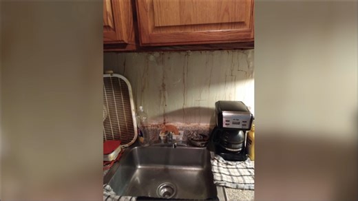 'We got Godzilla rats, mutant roaches, black mold is atrocious': Memphis residents frustrated with living conditions at two apartment complexes