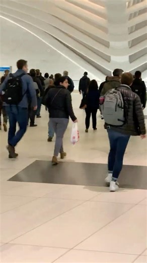 Rush Hour Chaos, NYC to NJ #newyork #nyc #ny