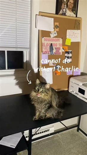 Follow along for more small business tips, behind-the-scenes videos, and how I make my bookmarks.