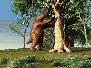 Megatherium The Giant Ground Sloth