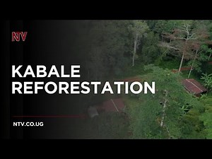 REFORESTATION IN KABAROLE: How a local movement is bringing forests back to life