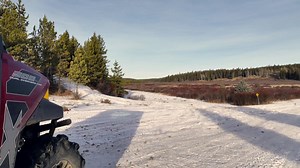 30K views · 3.7K reactions | HAWS Movie Night | Help Alberta Wildies Society | Facebook