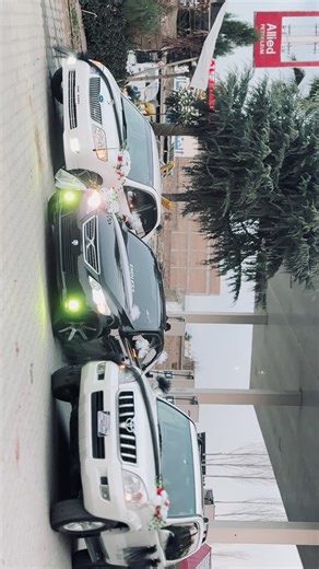 Understanding Common View Count Issues on Social Media