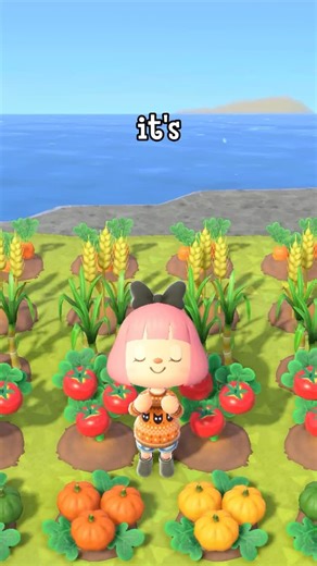 23 weeks on my island and THIS happened!! 😱 . . . #acnh #animalcrossing #gaming #animalcrossingnewhorizons #acnhcommunity | Tiger 🌷 Animal Crossing Cozy Gaming
